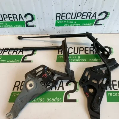 Bisagras capo BMW X5 e70 - X6 e71