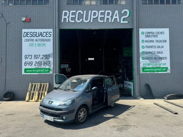 DESPIECE PEUGEOT 1007