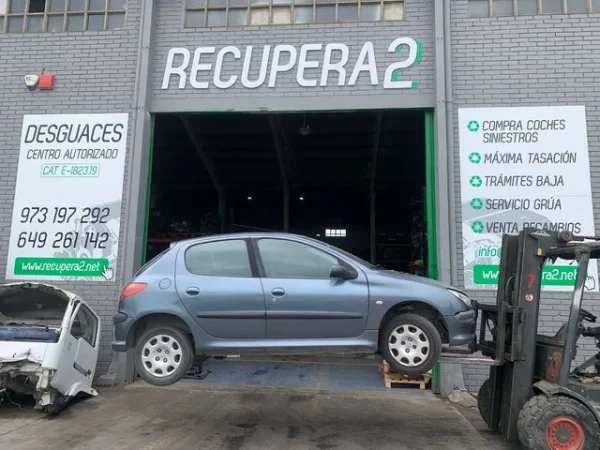 PEUGEOT 206 HDI