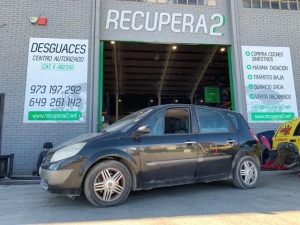 Despiece RENAULT SCENIC II 1.9DCI