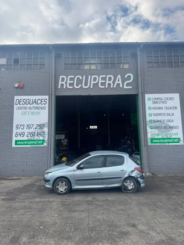 DESPIECE COMPLETO PEUGEOT 206